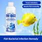 🔥Hot Sale🔥Fish Tank Water Purifier Algae Remover