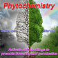 Plant and Flower Activation Liquid Solution