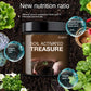 🔥Buy 2 Get 1 Free🔥Soil Activated Treasure-You Will Be Amazed!