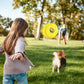 Dog Chew Toy Fetch Ball & Flying Disc