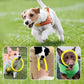 Dog Chew Toy Fetch Ball & Flying Disc